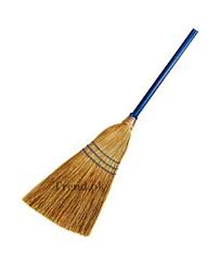Phool Broom